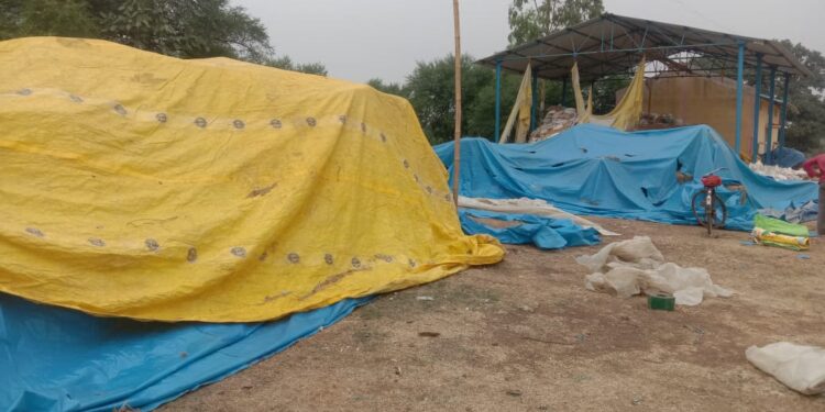 28 दिनों में महज 8 हज़ार क्वींटल धान की हुई खरीदी, कुछ केन्द्रो में अभी भी पसरा है सन्नाटा