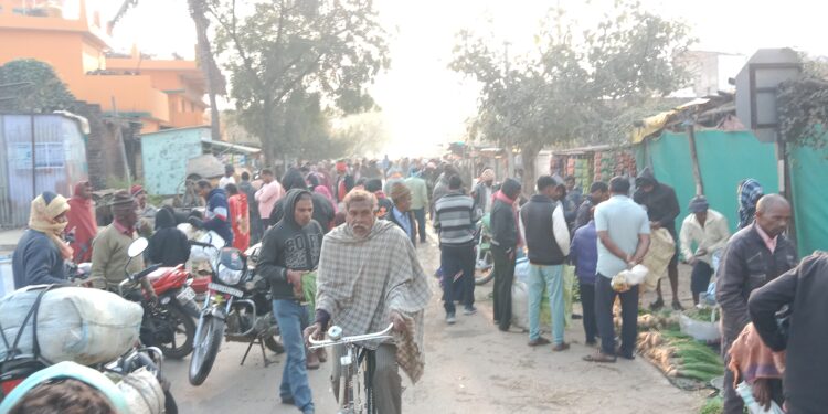 साप्ताहिक बाज़ार में प्याज़ के पौधे खरीदने किसानों की उमड़ी भीड़ 