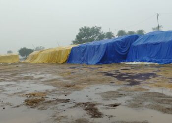 बारिश की वजह से धान खरीदी प्रभावित, 8 दिन का समय शेष, लेकिन 4 दिन ही होगी खरीदी 