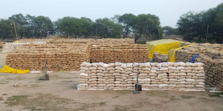 लवन शाखा के 15 उपार्जन केन्द्रों में 3 लाख क्वींटल धान जाम