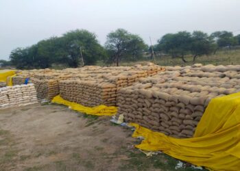  अचानक से मौसम में हुआ परिवर्तन, खरीदी केन्द्रों में खुले में पड़ा है धान