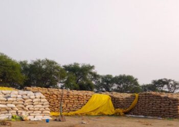 समिति केन्द्रो में बफर लिमिट से तीन गुना अधिक धान, समिति प्रबंधक चितिंत