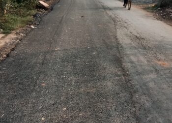 ख़बर प्रकाशन के बाद जिम्मेदारो की निद्रा जागी, टूटी सड़क की ली गईं सुध