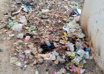 खोखले साबित हो रहे है नगर पंचायत के दावे, कई वार्ड से नहीं उठ रहा नियमित कचरा, हो रही है खानापूर्ति 