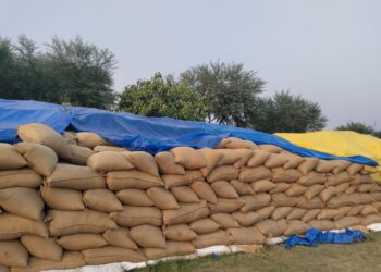 कछुए को भी मात दे रही उपार्जन केन्द्रो में धान उठाव की सुस्त चाल