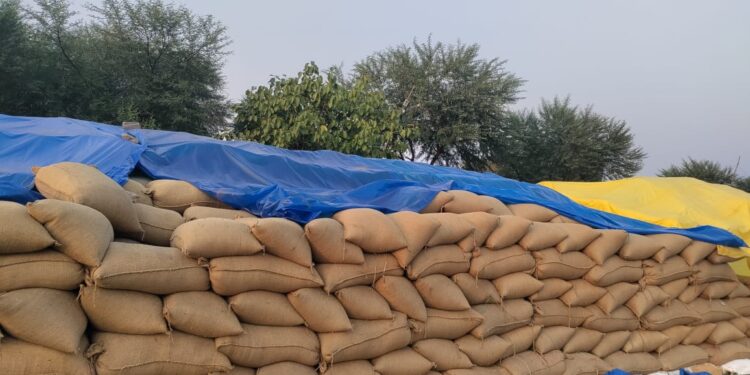 कछुए को भी मात दे रही उपार्जन केन्द्रो में धान उठाव की सुस्त चाल