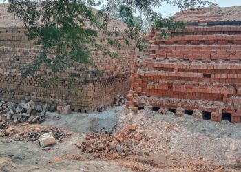 भालुकोना में कुम्हार जाति की आड़ में लाखों के ईट का अवैध कारोबार संचालित