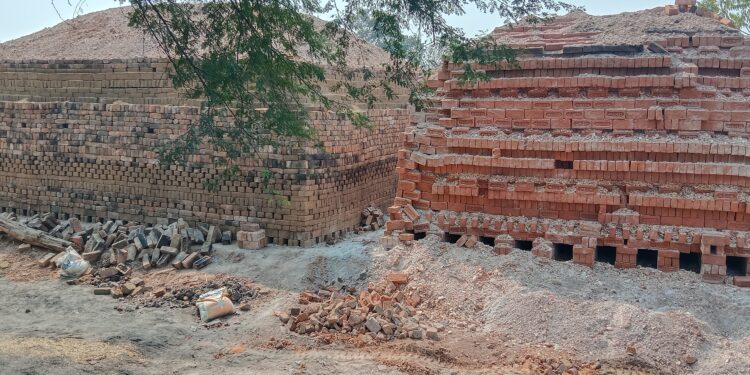 भालुकोना में कुम्हार जाति की आड़ में लाखों के ईट का अवैध कारोबार संचालित