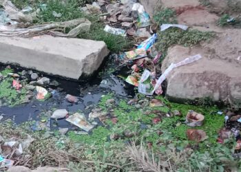 सफ़ाई नहीं होने से बजबजा रही है लवन की जाम नालिया 