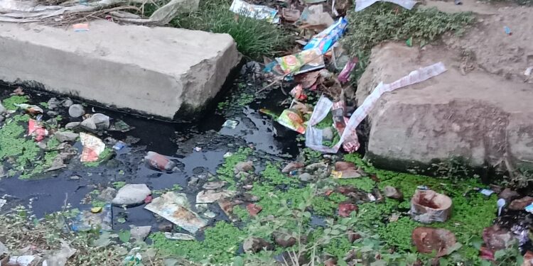 सफ़ाई नहीं होने से बजबजा रही है लवन की जाम नालिया 