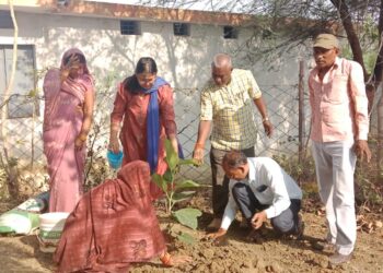 सकरी पंचायत में अक्षय तृतीया के मौके पर जिला पंचायत सीईओ ने रोपे बरगद और पीपल का पेड़ 