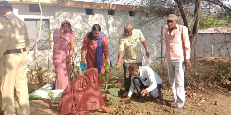 सकरी पंचायत में अक्षय तृतीया के मौके पर जिला पंचायत सीईओ ने रोपे बरगद और पीपल का पेड़ 