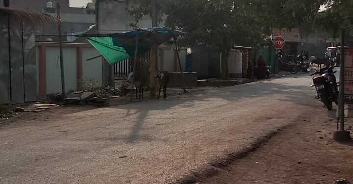 नौतपा का पारा पहुंचा 46 डिग्री पर, लेकिन नगर पंचायत लवन ने नहीं कराई अभी तक प्याऊ घर की व्यवस्था