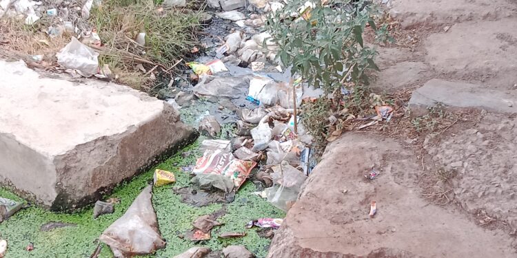 सीएमओ साहब ! बरसात का दिन नजदीक आ रहा है, अब तो नालियो की सफाई करा दीजिए