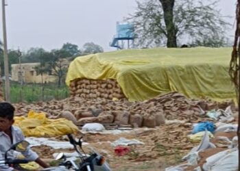 पांच माह बाद भी केन्द्रों से नहीं हुआ 19 हजार क्वींटल धान का उठाव