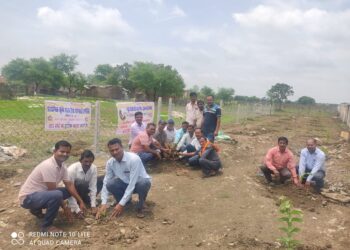 अहिल्दा समिति के कर्मचारियों ने पौधे लगाने के बाद उसकी सुरक्षा का लिया संकल्प