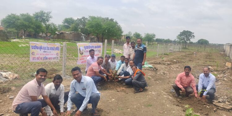 अहिल्दा समिति के कर्मचारियों ने पौधे लगाने के बाद उसकी सुरक्षा का लिया संकल्प