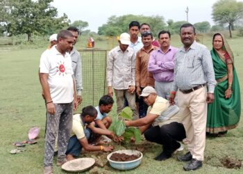 सकरी में एक पेड़ मां के नाम के तर्ज पर 50 पौधे लगाकर सभी पौधों को सुरक्षित रखने का लिया संकल्प 