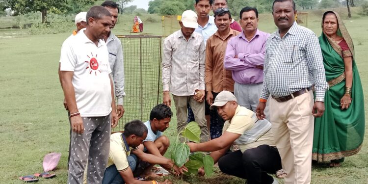 सकरी में एक पेड़ मां के नाम के तर्ज पर 50 पौधे लगाकर सभी पौधों को सुरक्षित रखने का लिया संकल्प