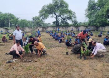 सिंघारी स्कूल में 201 पौधों का हुआ वृक्षारोपण