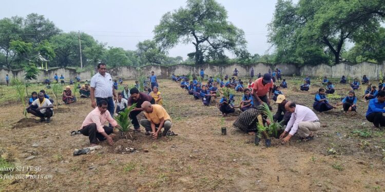 सिंघारी स्कूल में 201 पौधों का हुआ वृक्षारोपण