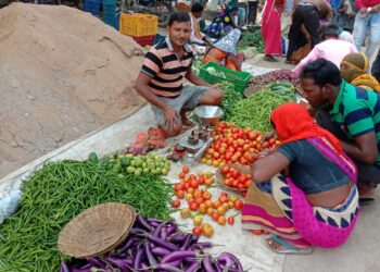 हरि सब्जियों के दाम ने बिगाड़ा रसोई का बजट, किलो की जगह पाव से चला रहे काम