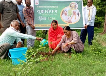 पर्यावरण संरक्षण के लिए पौधे लगाना बहुत जरूरी- दीप्ती