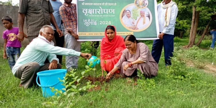 पर्यावरण संरक्षण के लिए पौधे लगाना बहुत जरूरी- दीप्ती