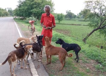 बेजुबान जानवरों के प्रति दया ही इंसानों की सच्ची इंसानियत- मोहन तिवारी