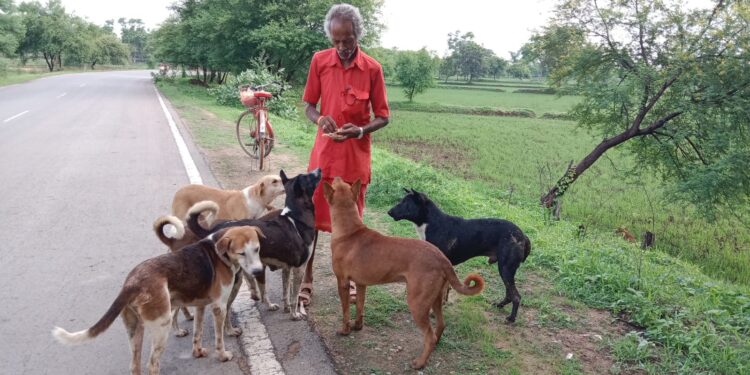 बेजुबान जानवरों के प्रति दया ही इंसानों की सच्ची इंसानियत- मोहन तिवारी