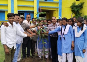 रजक कल्याण बोर्ड अध्यक्ष लोकेश कनौजे ने वृक्षारोपण कर मनाया अपना जन्मदिन