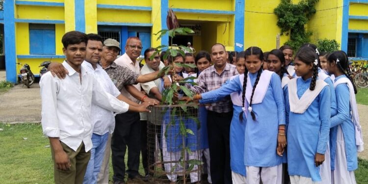 रजक कल्याण बोर्ड अध्यक्ष लोकेश कनौजे ने वृक्षारोपण कर मनाया अपना जन्मदिन