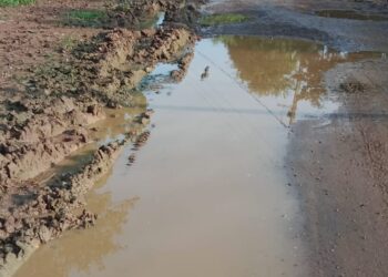 पुराना कार्य को नया दर्शाकर विभाग बटोर रहा वाहवाही, सड़क की हकीकत कुछ और ही