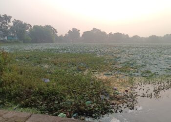 अहिल्दा का बुड़गी तालाब का पानी अत्यधिक प्रदुषित, खुजली से पीडि़त हो रहे है लोग