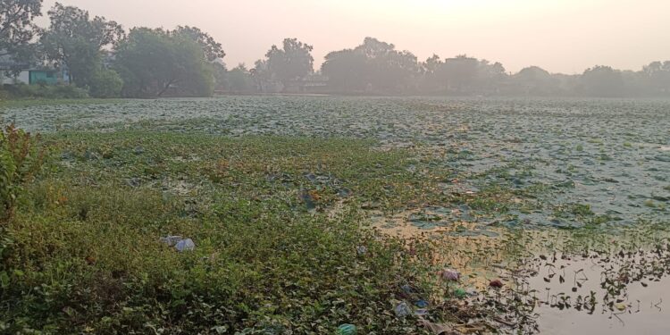 अहिल्दा का बुड़गी तालाब का पानी अत्यधिक प्रदुषित, खुजली से पीडि़त हो रहे है लोग