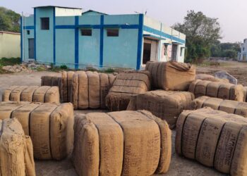 कल से समर्थन मूल्य पर धान की खरीदी होगी शुरू, समितियों की तैयारी हुई पूरी