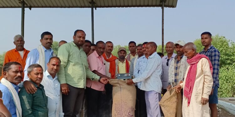 बरदा सोसायटी में समर्थन मूल्य पर धान खरीदी का हुआ शुभारंभ