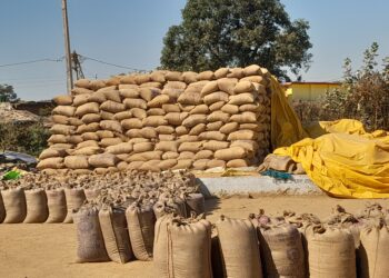 धान का परिवहन नहीं होने से खरीदी केन्द्रो में लिमिट से अधिक हुआ धान, खरीदी हो सकती है प्रभावित