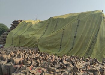 लवन शाखा के उपार्जन केन्द्रों में बफर स्टाॅक से अधिक धान जाम