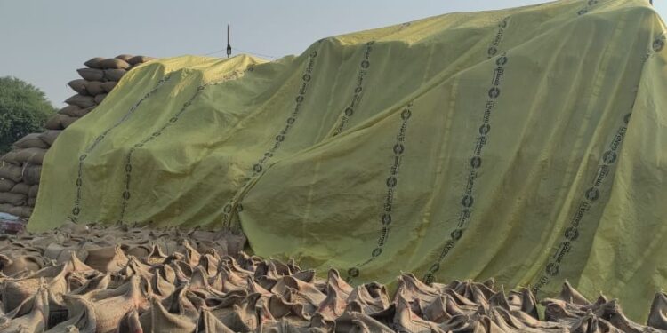 लवन शाखा के उपार्जन केन्द्रों में बफर स्टाॅक से अधिक धान जाम