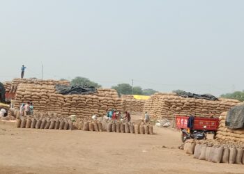 खरीदी में 2 दिन शेष धान बेचने नहीं पहुंचे 500 किसान