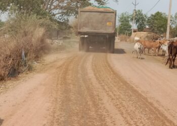 भालूकोना-तुरमा मार्ग में बन गए है जानलेवा खतरनाक गढ्ढे, राहगीर गिरकर हो रहे चोंटिल 