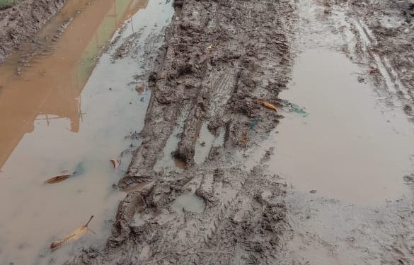 डेढ़ साल पहले पाइप लाइन डालने खोदी गई सड़क ग्रामीणों के लिए बनी जी का जंजाल