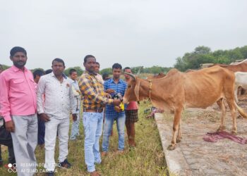 अंचल में उत्साह के साथ मनाया गया हरेली का त्यौहार
