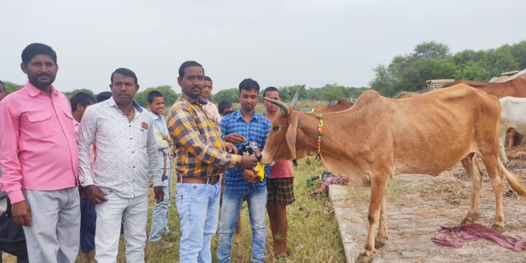 अंचल में उत्साह के साथ मनाया गया हरेली का त्यौहार