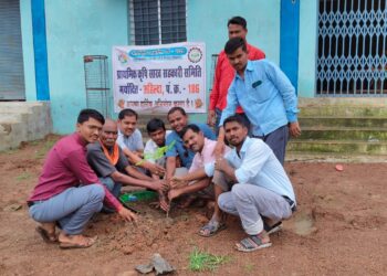 अहिल्दा समिति के कर्मचारियों ने पौधे लगाने के बाद उसकी सुरक्षा का लिया संकल्प