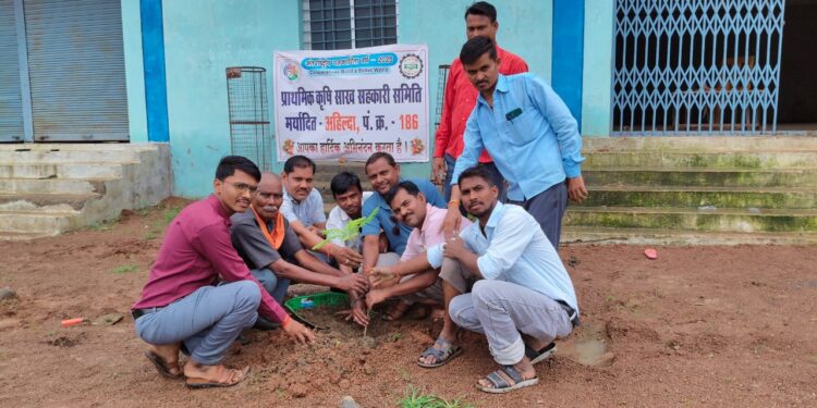 अहिल्दा समिति के कर्मचारियों ने पौधे लगाने के बाद उसकी सुरक्षा का लिया संकल्प