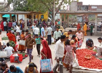 सब्जियों के बढ़े दाम बिगाड़ रहे है रसोई का बजट, गरीब परिवार की जेब पर पड़ रहा डाका