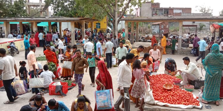 सब्जियों के बढ़े दाम बिगाड़ रहे है रसोई का बजट, गरीब परिवार की जेब पर पड़ रहा डाका