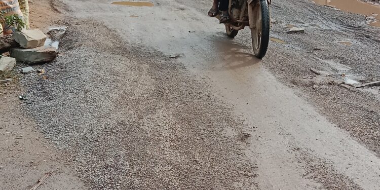 नगर के अधिकांश वार्ड बदहाली पर बहा रहा आंसु, लोगों का चलना हुआ मुश्किल 